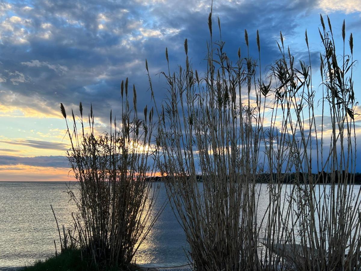 Maj Premium Apartment 4 Sterne - Neu Renoviert Poreč Kültér fotó